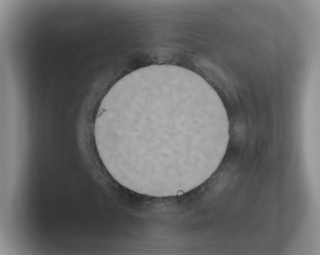 X0000101650865200808071112