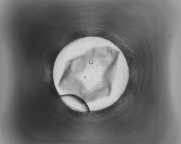 X0000101650866200808071112