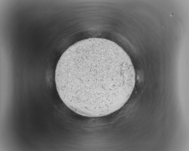 X0000101650867200808071112