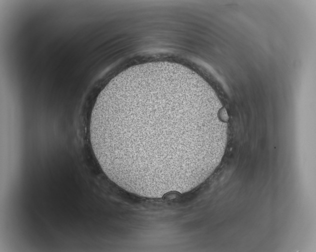 X0000101650871200808071112