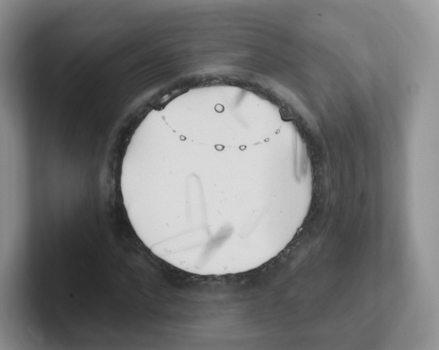 X0000101650872200808071112