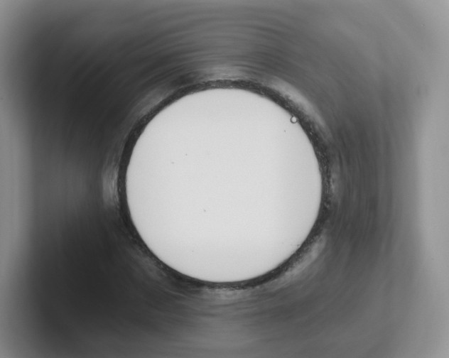 X0000101650873200808071112