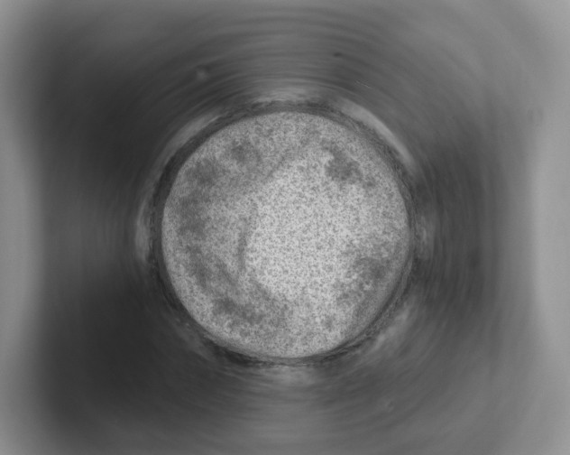 X0000101650874200808071112
