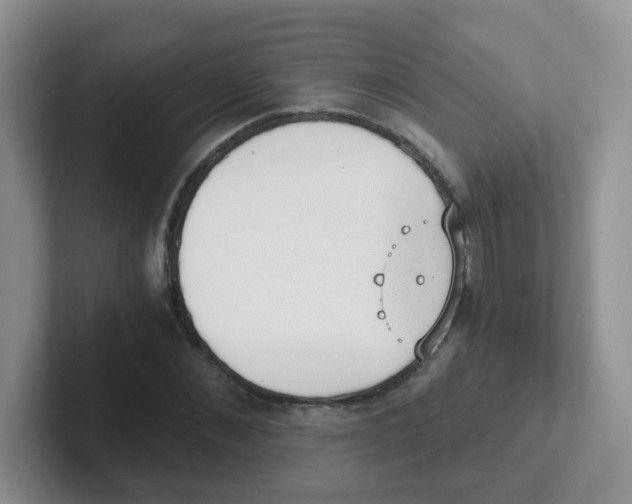X0000101650876200808071112