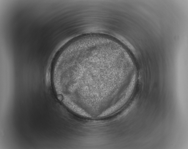 X0000101650877200808071112