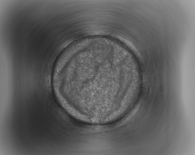X0000101650881200808071112