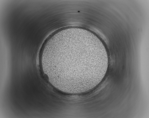 X0000101650883200808071112