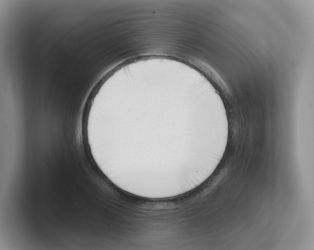 X0000101650884200808071112