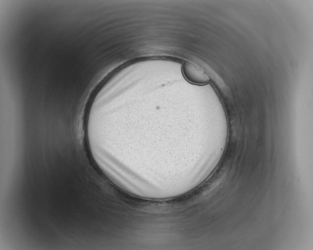X0000101650885200808071112