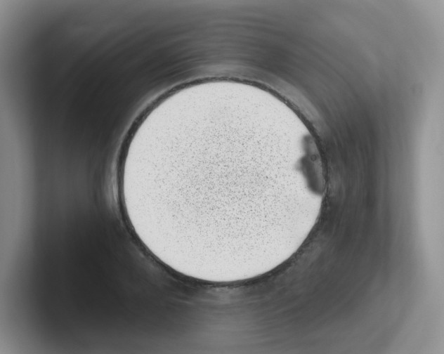 X0000101650888200808071112