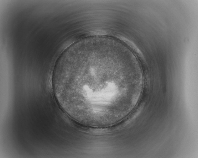X0000101650889200808071112