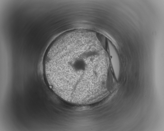 X0000101650891200808071112