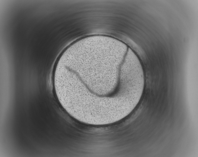 X0000101650892200808071112
