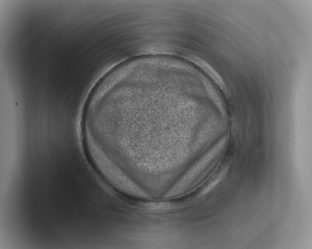 X0000101650893200808071112