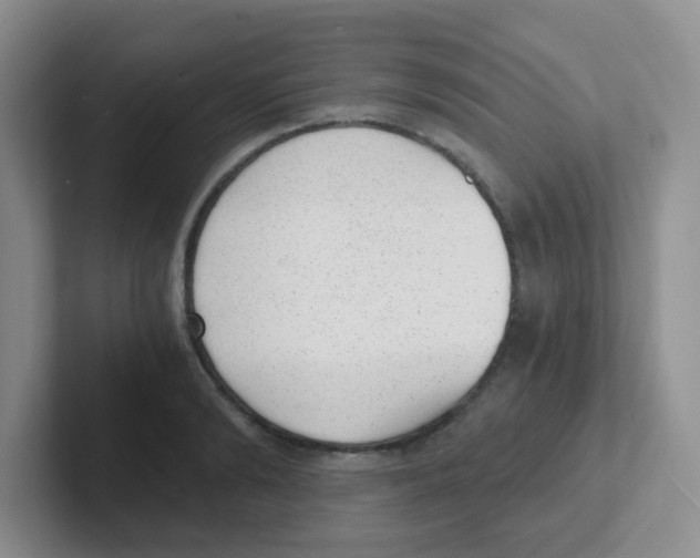 X0000101650894200808071112