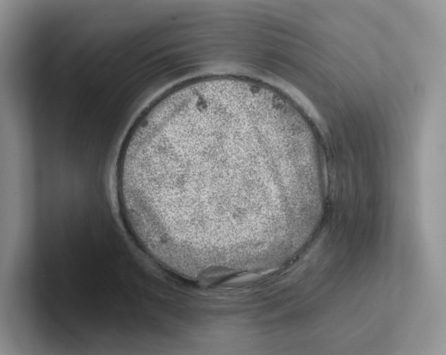 X0000101650895200808071112