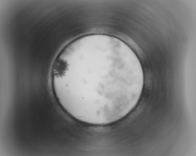 X0000101650896200808071112