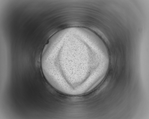 X0000101650897200808071112