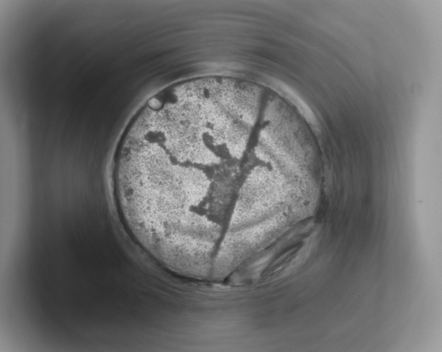 X0000101650899200808071112