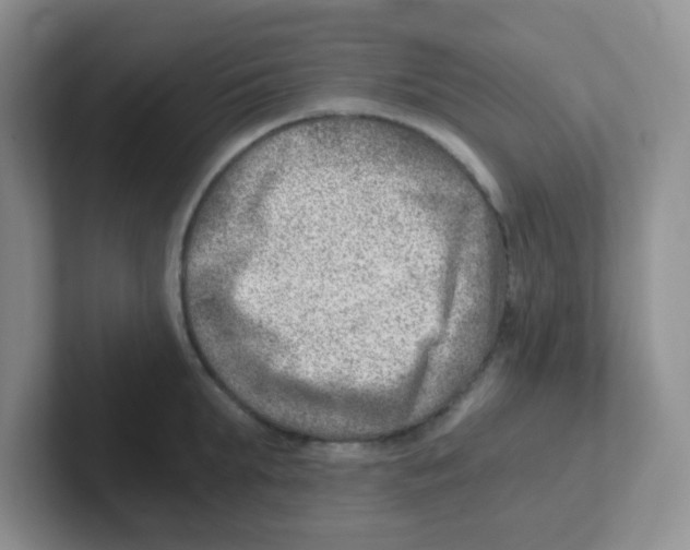 X0000101650903200808071112