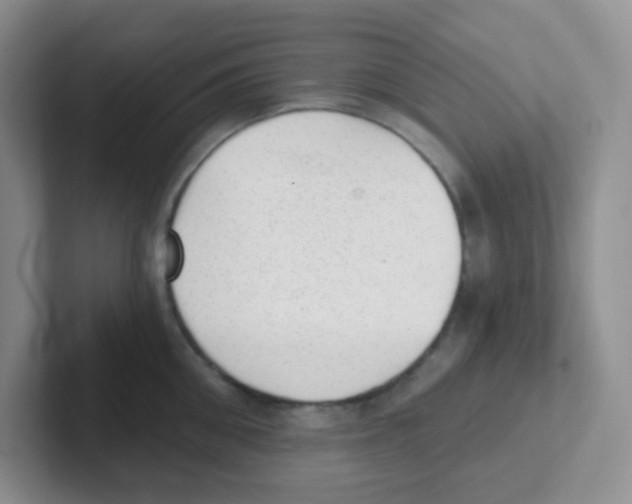 X0000101650906200808071112