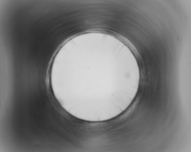 X0000101650908200808071112