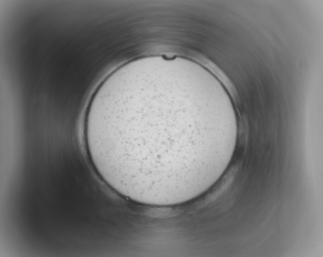 X0000101650909200808071112
