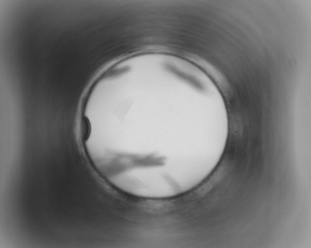 X0000101650910200808071112