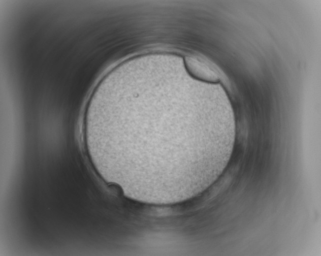 X0000101650911200808071112