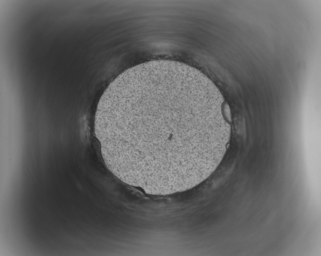 X0000101650916200808071111