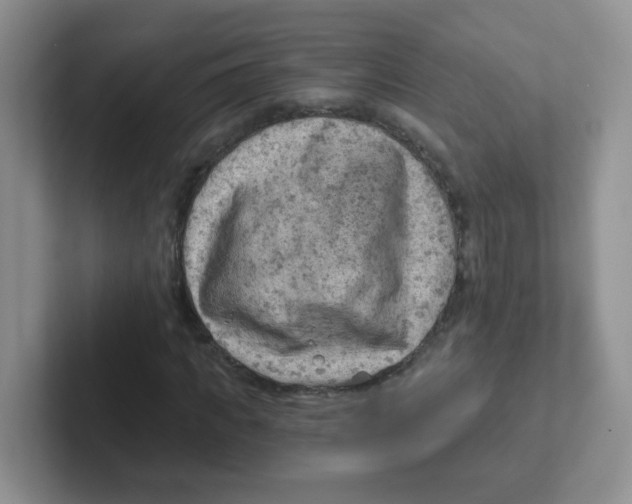 X0000101650917200808071111