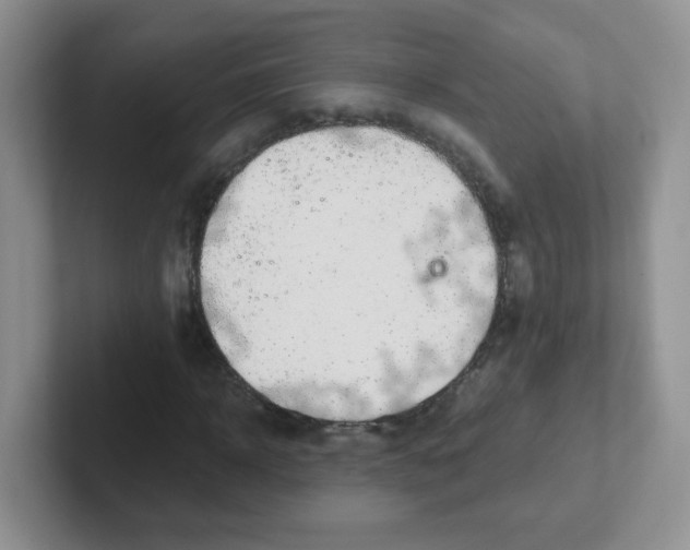 X0000101650918200808071111
