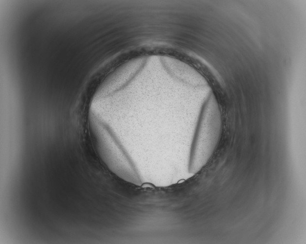 X0000101650919200808071111