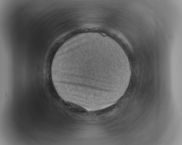 X0000101650920200808071111