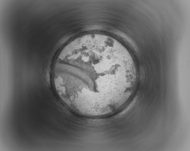 X0000101650921200808071111