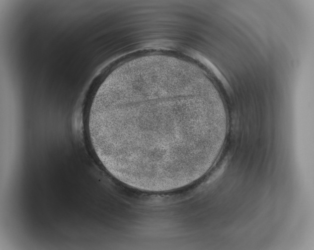 X0000101650923200808071111