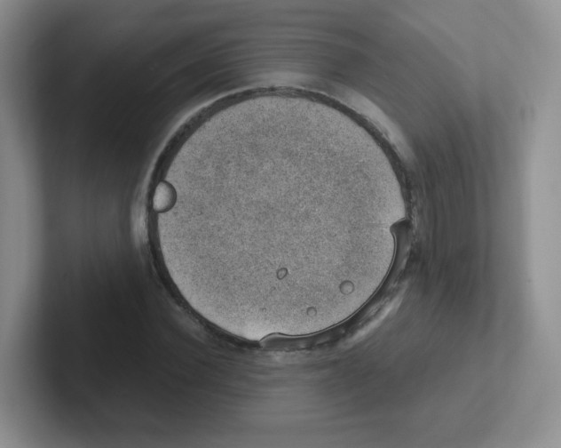 X0000101650924200808071111