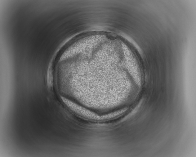 X0000101650925200808071111