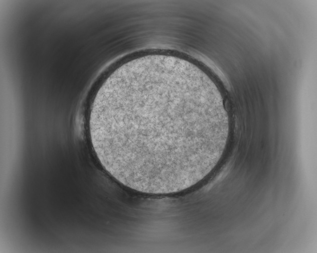 X0000101650926200808071111