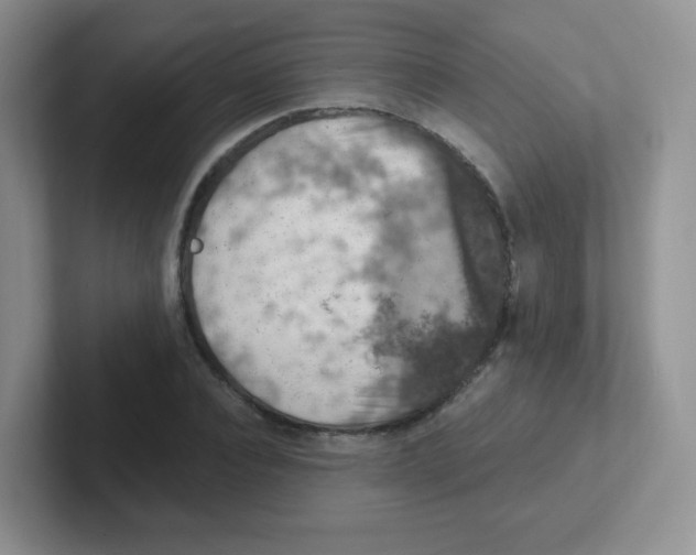 X0000101650928200808071111