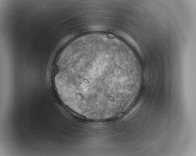 X0000101650930200808071111
