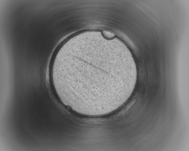 X0000101650932200808071111
