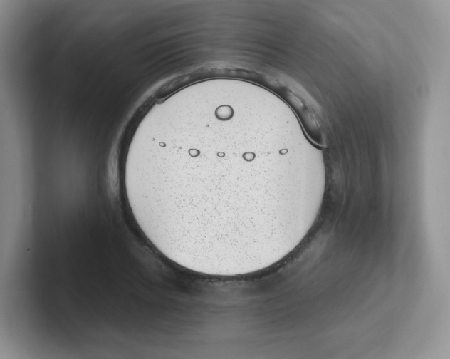 X0000101650934200808071111