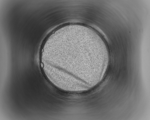 X0000101650935200808071111