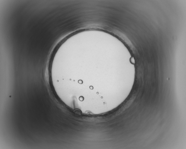 X0000101650936200808071111