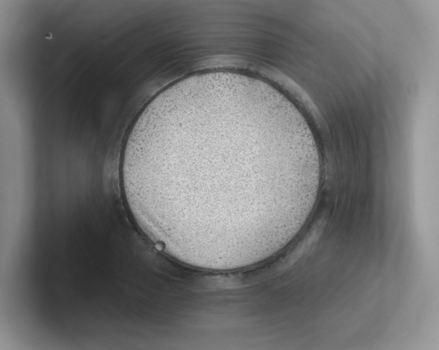 X0000101650937200808071111