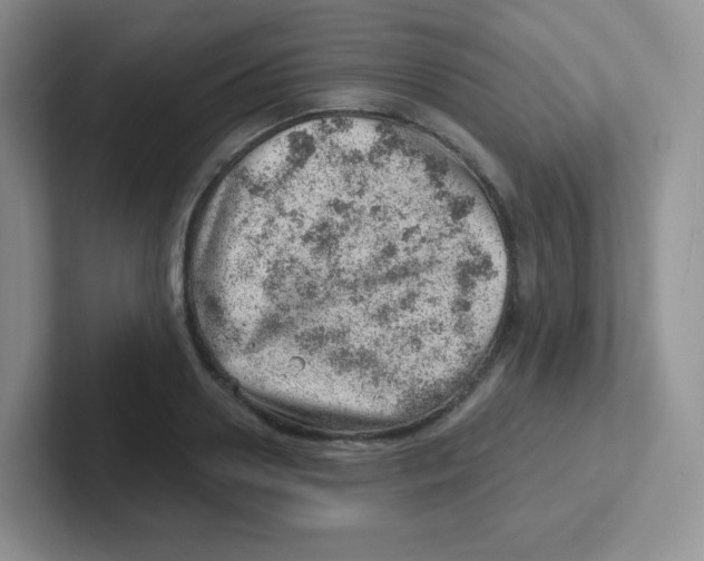 X0000101650938200808071112