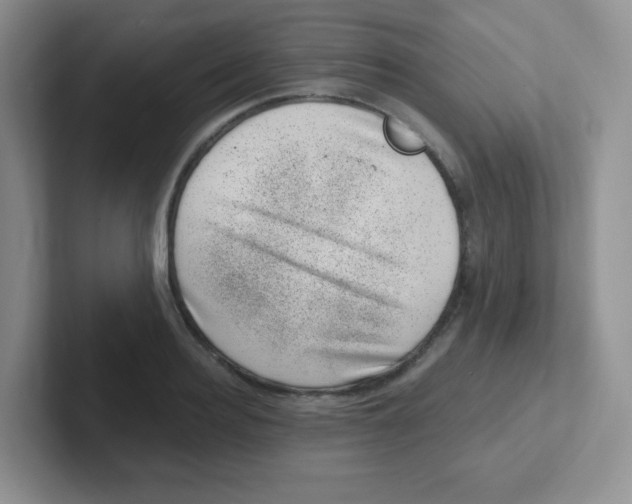 X0000101650940200808071112