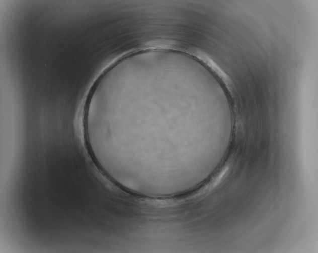 X0000101650941200808071112