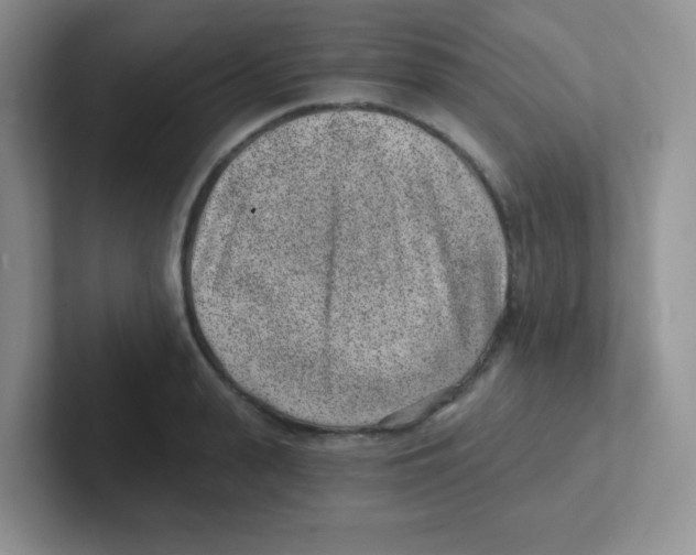 X0000101650943200808071112